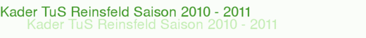 Kader TuS Reinsfeld Saison 2010 - 2011