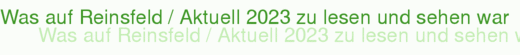 Was auf Reinsfeld / Aktuell 2023 zu lesen und sehen war